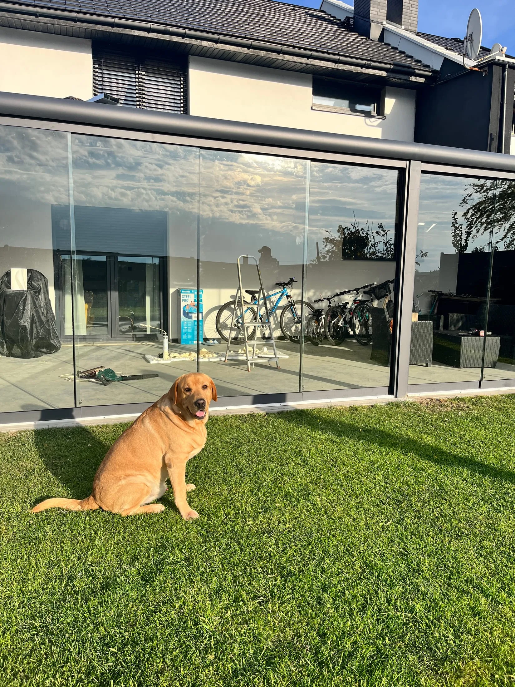 Szklany ogród w Żory